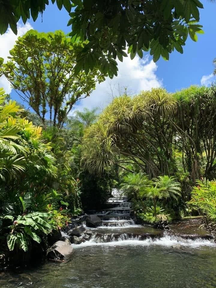 המעיינות החמים של ארנל (צילום: אלן שטרסברג) טיול משפחתי בקוסטה ריקה