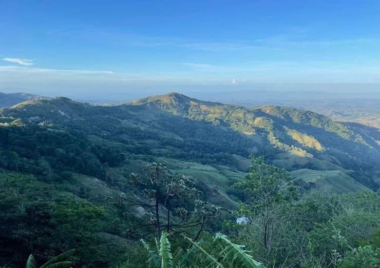 יער העננים של מונטוורדה (צילום: אלן שטרסברג) טיול משפחתי בקוסטה ריקה