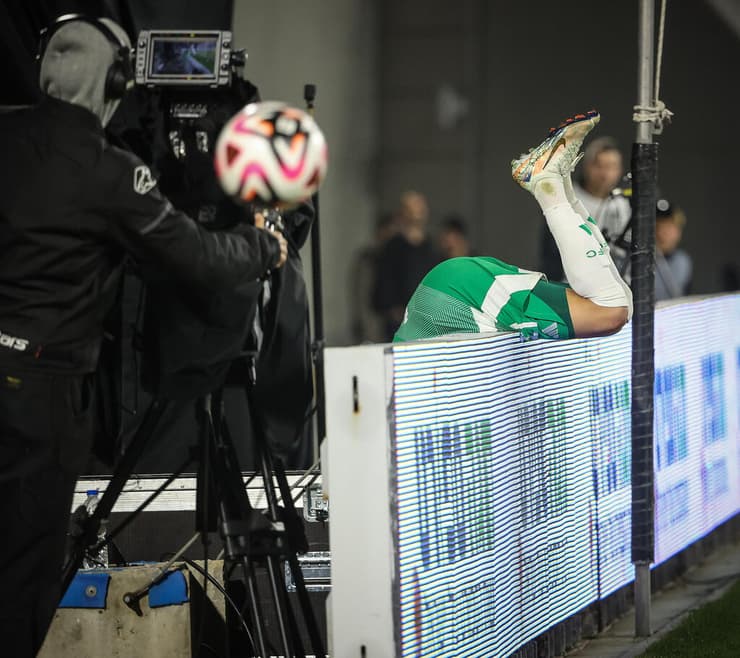 דוד אחרי ההחמצה