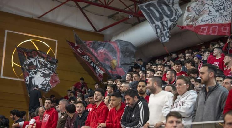 אוהדי הפועל תל אביב (רועי כפיר) אוהדי הפועל תל אביב