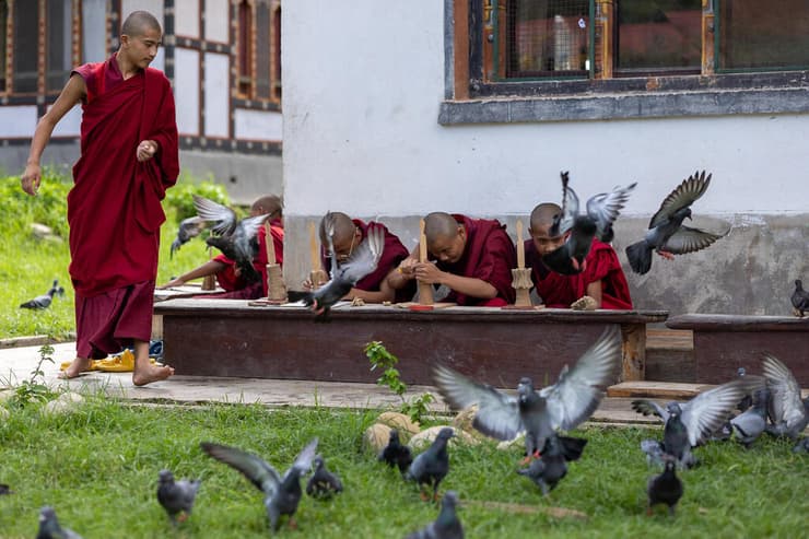 אוכלוסיה נוודית החיה עם המקנה באוהלים ארעיים (צילום: טל שחר) אוכלוסיה נוודית החיה עם המקנה באוהלים ארעיים