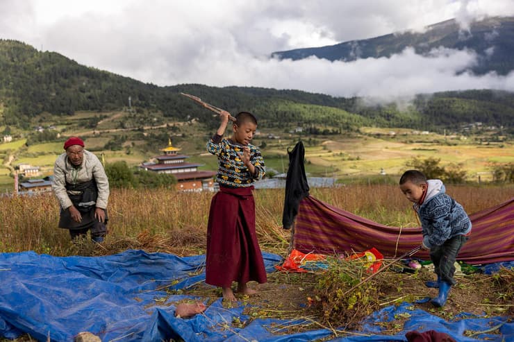 משפחה עמלת על הוצאת הכוסמת מהשיבולים בכפר מרוחק (צילום: טל שחר) משפחה עומלת על הוצאת הקוסמת מן השיבולים בכפר מרוחק