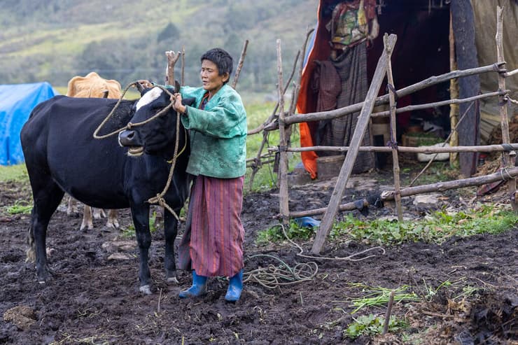 אוכלוסיה נוודית החיה עם המקנה באוהלים ארעיים (צילום: טל שחר) אוכלוסיה נוודית החיה עם המקנה באוהלים ארעיים