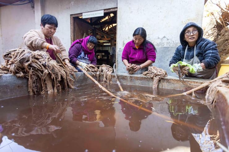 פועלות במפעל נייר מסורתי מסננות את חומר הגלם הראשוני (צילום: טל שחר) פועלות במפעל נייר מסורתי מסננות את חומר הגלם הראשוני