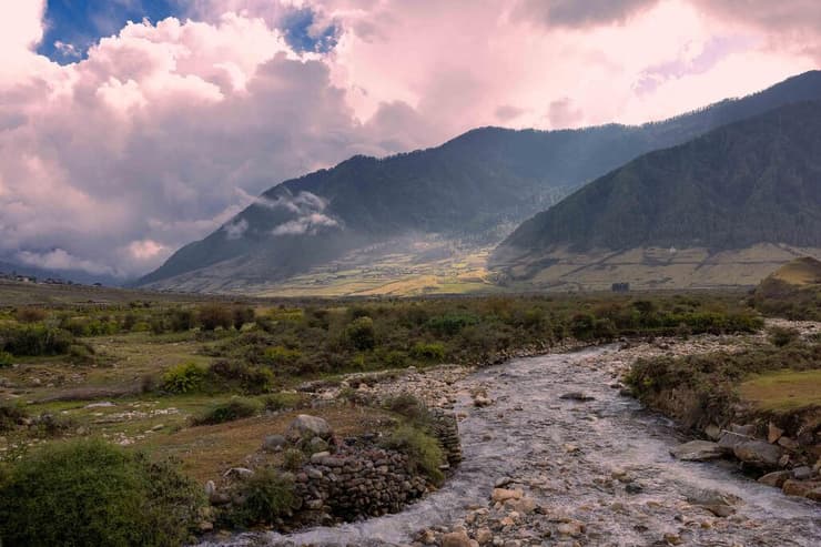 טבע פראי סמוך לכפר שבו ישנו (צילום: טל שחר) טבע פראי סמוך לכפר שבו ישנו