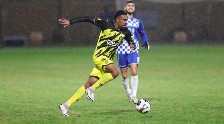 ז'קוב ז'נו (עמרי שטיין) ז'קוב ז'נו