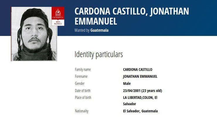 צו המעצר שהוציא האינטרפול