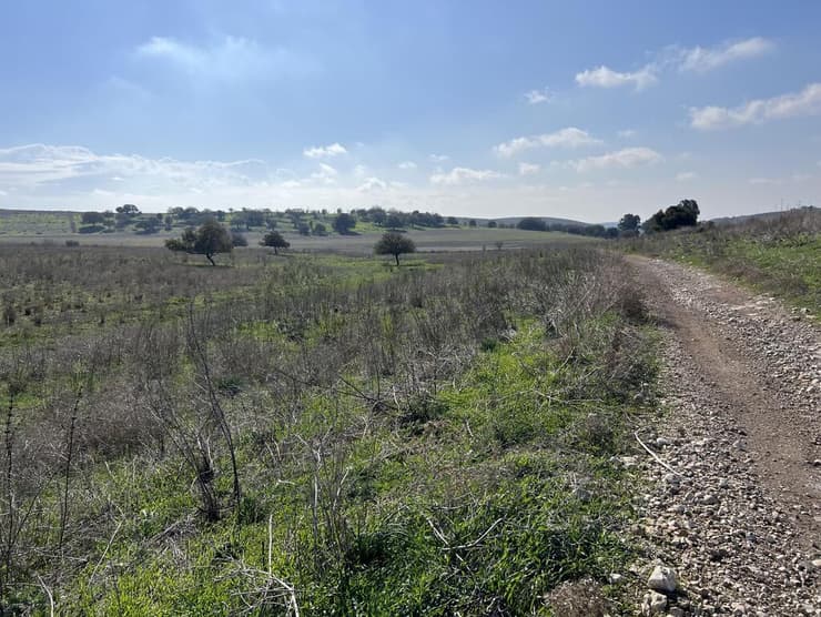 טיול בשביל מגידו