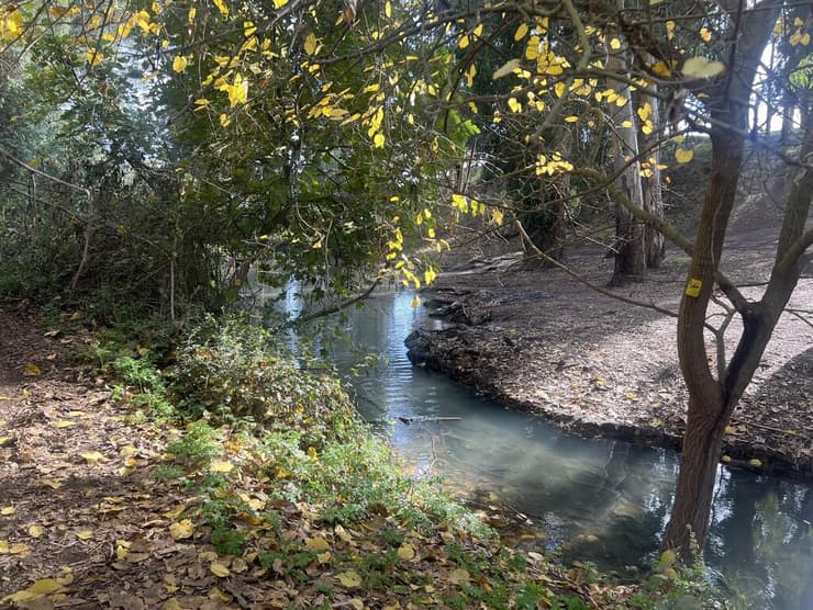 טיול בשביל מגידו