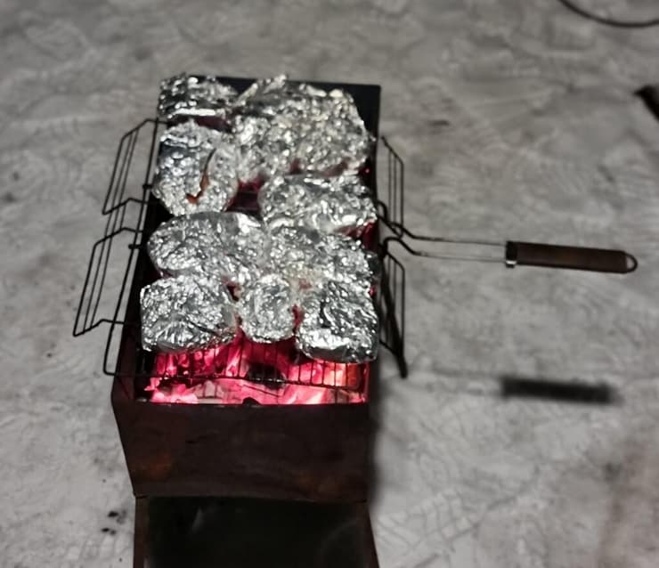 הדגים על האש בשלג