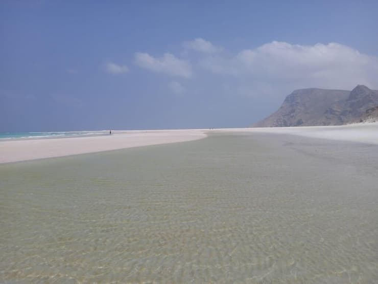 החוף בסוקוטרה החוף בסוקוטרה