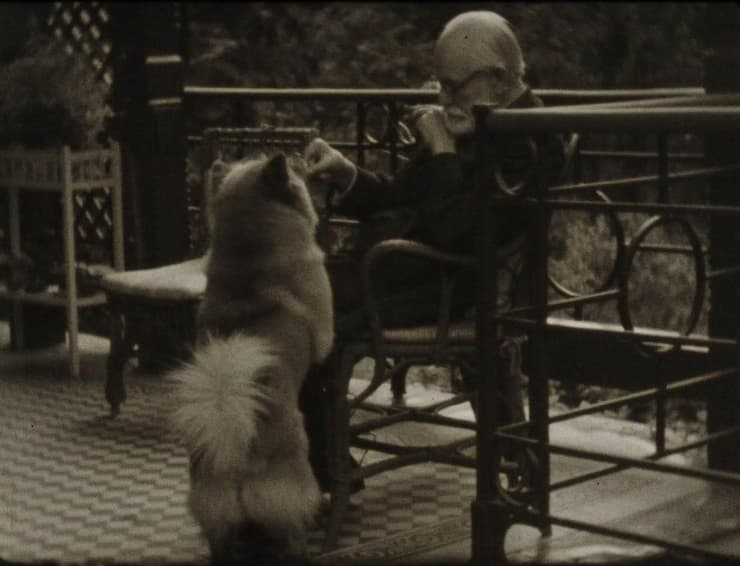 זיגמונד פרויד משחק עם כלב, מתוך סרט ביתי