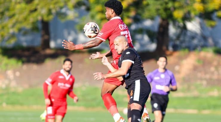 ניוטון וויליאמס מול גל מאיו