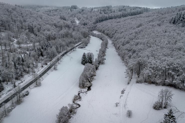 מבט מלמעלה על יערות פרנקפורט. ההמלצה: "תישארו בבית" (צילום: AP Photo/Michael Probst) גרמניה מזג אוויר אזור פרנקפורט
