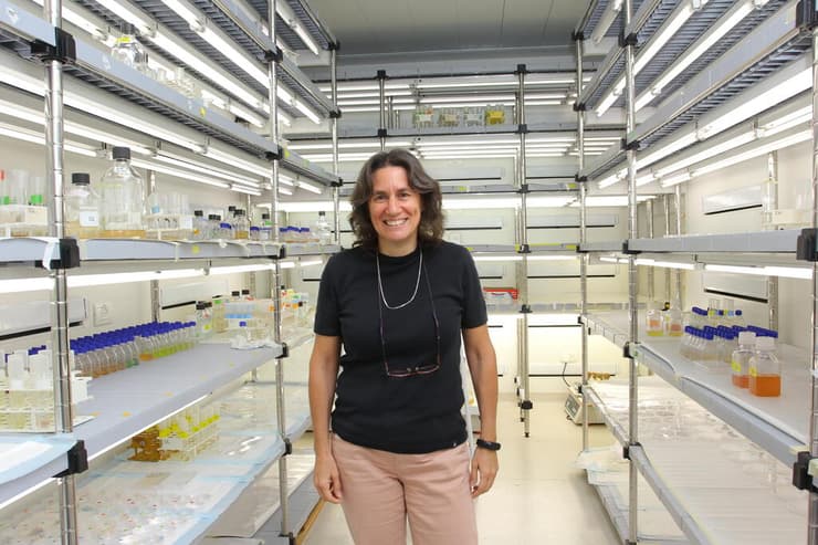 פרופ' דבי לינדל 