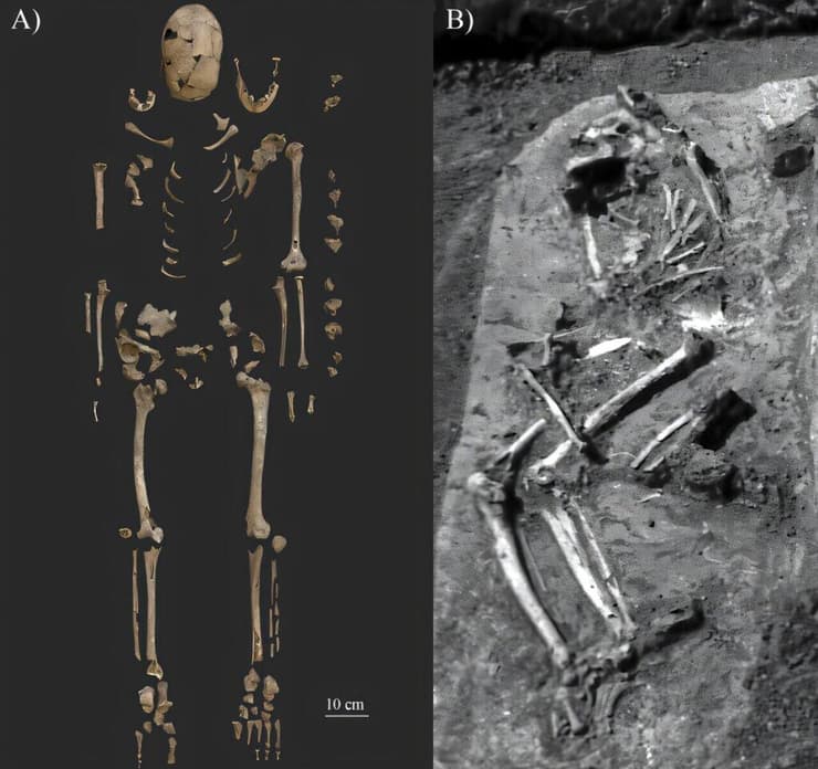 שרידי עצמותיה של SH-63 (צילום: Ibolya M. Nepper, Luca Kis, PLoS ONE (2024). DOI: 10.1371/journal.pone.0313963) שרידי עצמותיה של SH-63