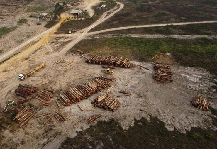 בירוא יערות באמזונס
