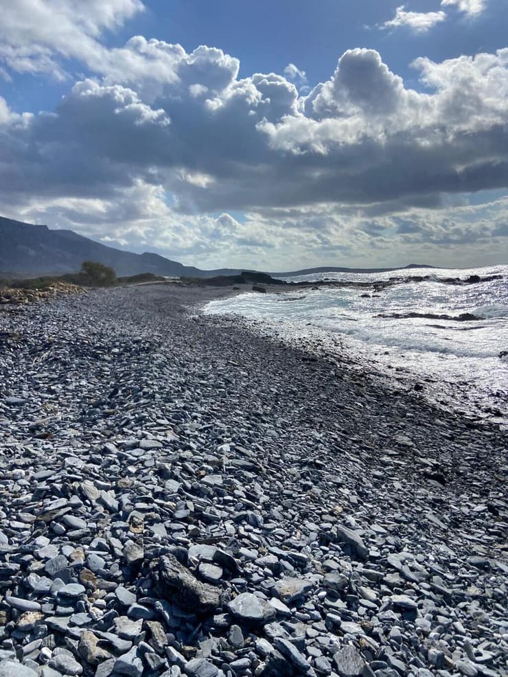 החוף המערבי