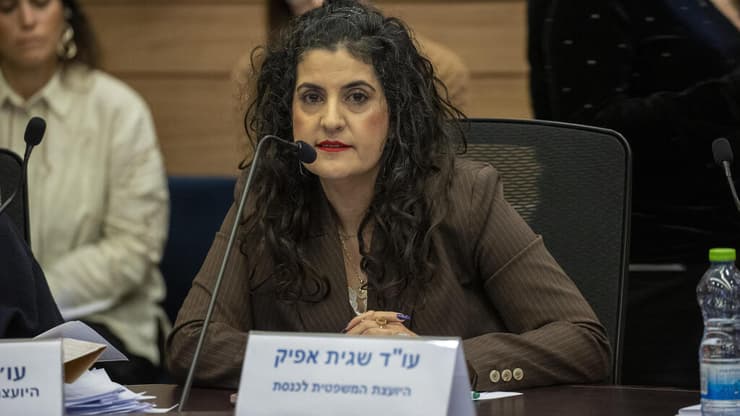 יועמ"שית הכנסת, עו"ד שגית אפיק. "פגיעה בעבודת הכנסת" (צילום: עמית שאבי) עדת העבודה והרווחה
