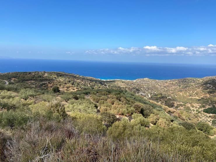 אזור מוכלוס