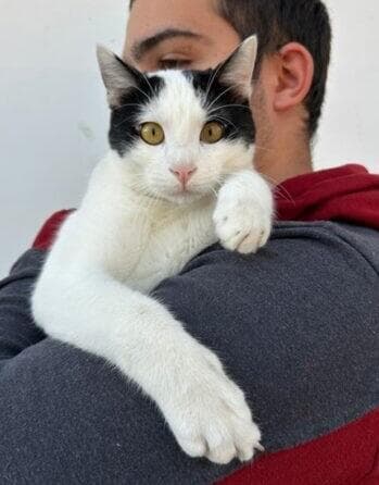 ג'נבה ( צילום :מיכל פרנק) ג'נבה