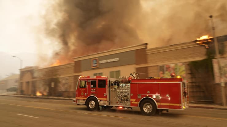 צילום: AP Photo/Chris Pizzello פסדינה