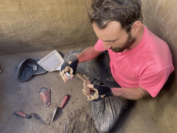 סבור שבני אדם האכילו זאבים. פרנסואה לנויי לאחר שעזר לגלות לסת בת 8,100 שנים של כנראה זאב (צילום: Zach Smith) סבור שבני אדם האכילו זאבים. פרנסואה לנויי לאחר שעזר לגלות לסת בת 8,100 שנים של כנראה זאב