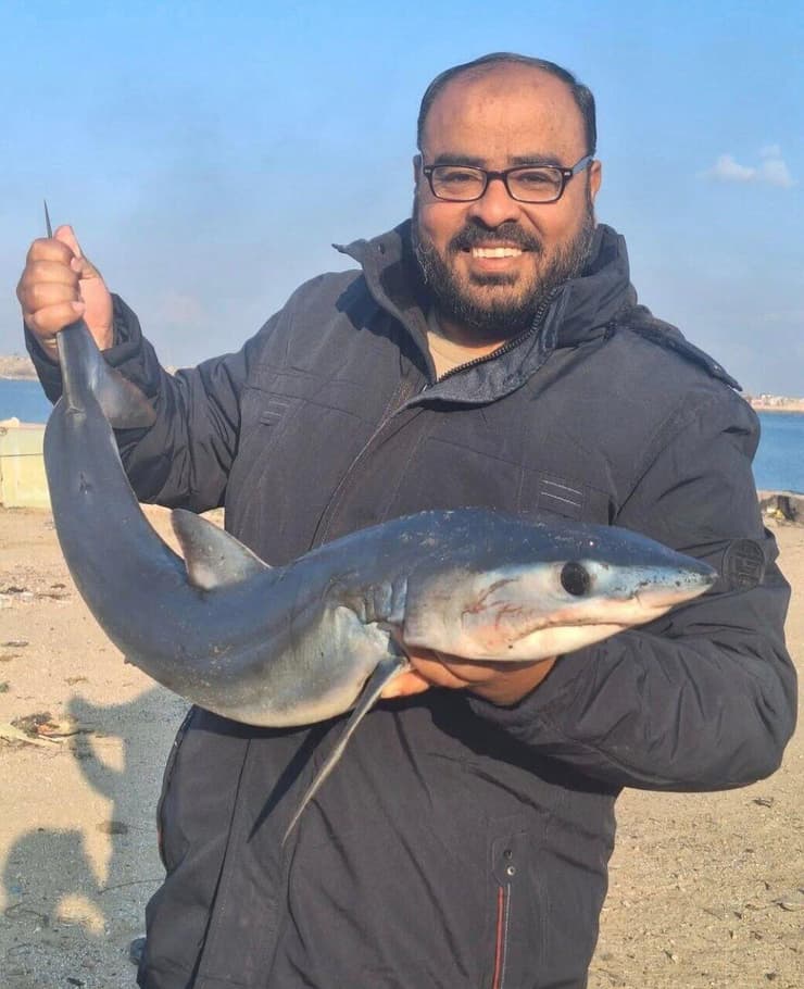 מחמוד זכי אלעאמודי והכריש בידיו