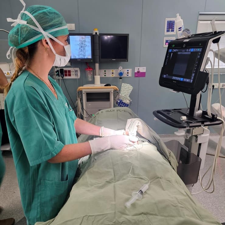 הזרקה תחת אולטרה-סאונד על-ידי ד"ר רעות מרדכי במרפאת כאב אונקולוגי שיבא (צילום: אלכסיי סרבניצקי) הזרקה תחת אולטרה-סאונד על-ידי ד"ר רעות מרדכי במרפאת כאב אונקולוגי שיבא