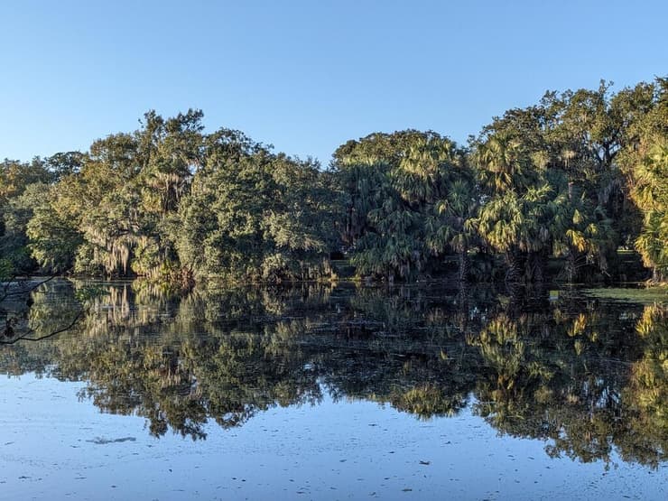 הפארק העירוני (צילום: אמיר בוגן) הפארק העירוני