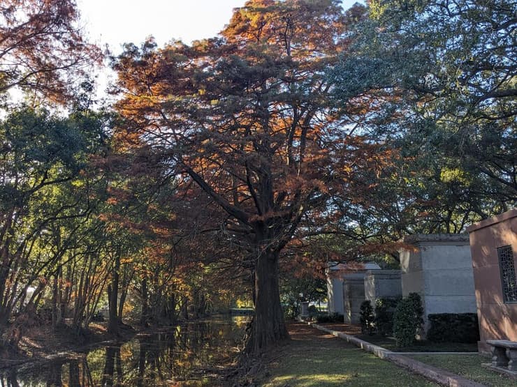 בית הקברות מטארי (צילום: אמיר בוגן) בית הקברות מטארי