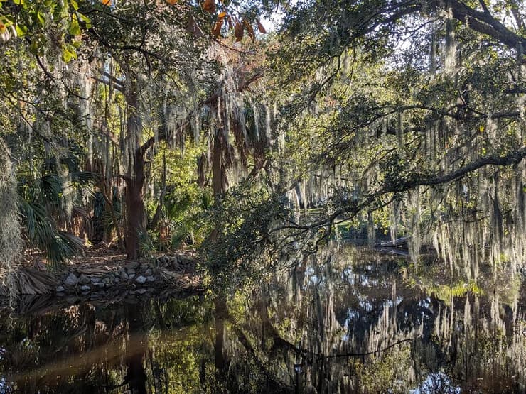 הפארק העירוני (צילום: אמיר בוגן) הפארק העירוני