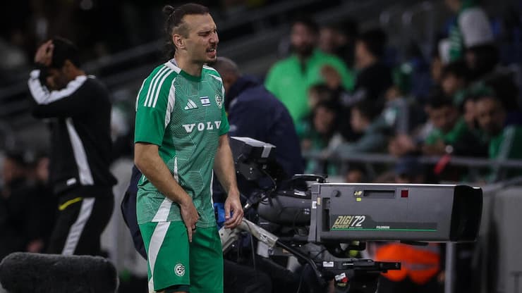 שון גולדברג כאוב