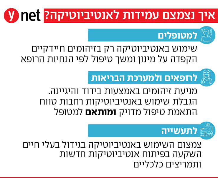 אינפו עמידות לאנטיביוטיקה