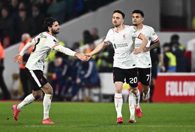 כבש אחרי כמה שניות על הדשא. ז'וטה