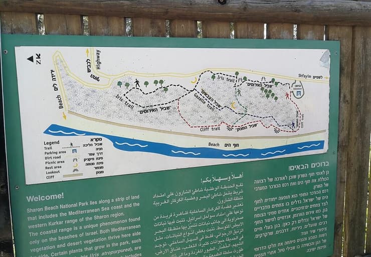 צילום: אסף רוזן גן לאומי חוף השרון