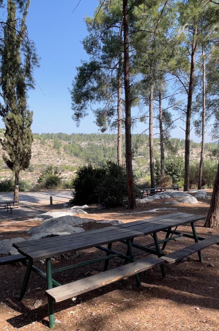 שולחנות פיקניק (צילום: ארז דגן) עין מטע