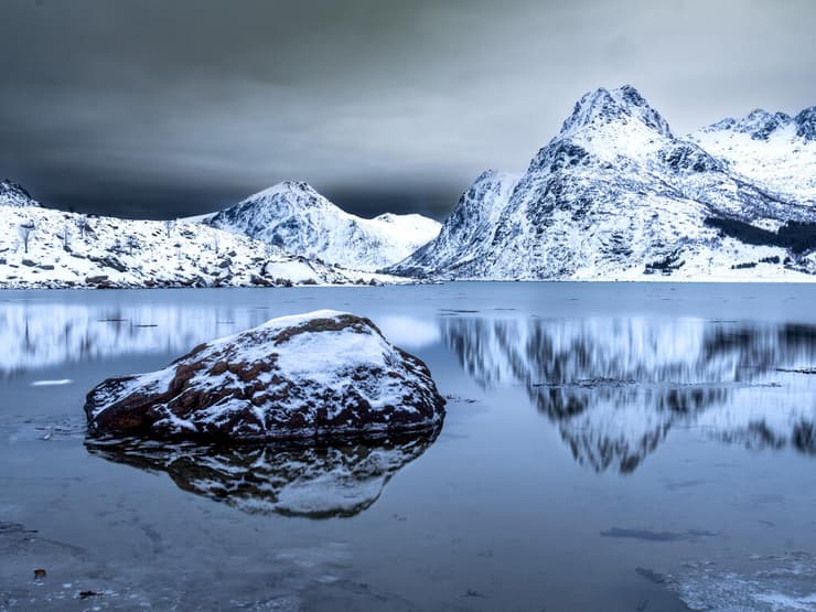 צילום: גלעד טופז
