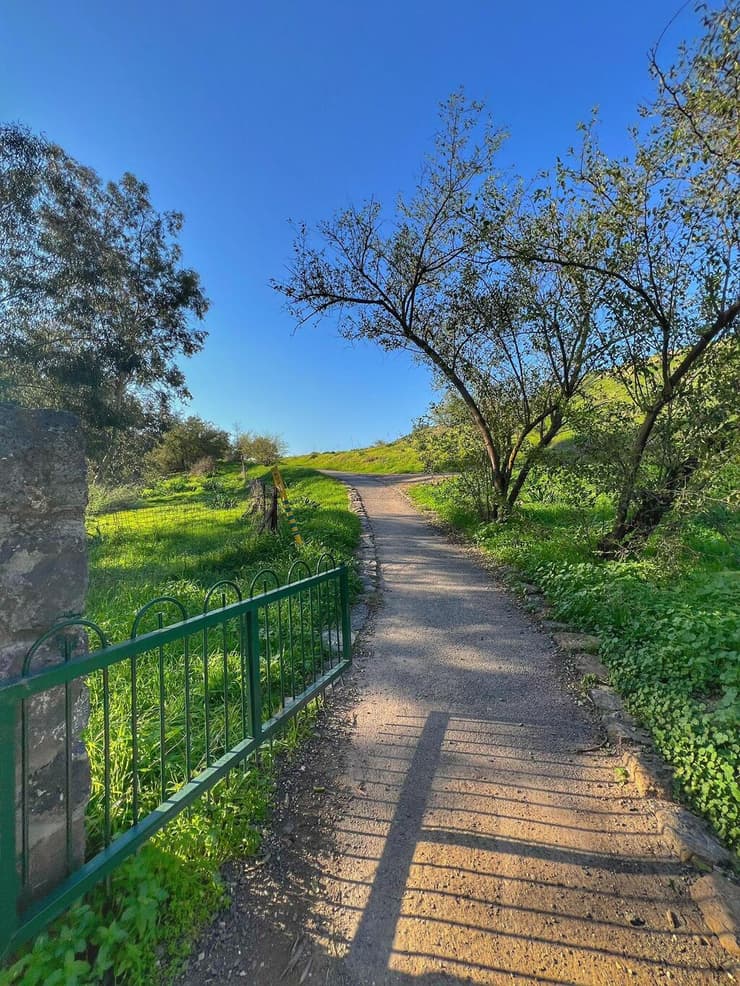 שביל הגשרים בנחל חרוד