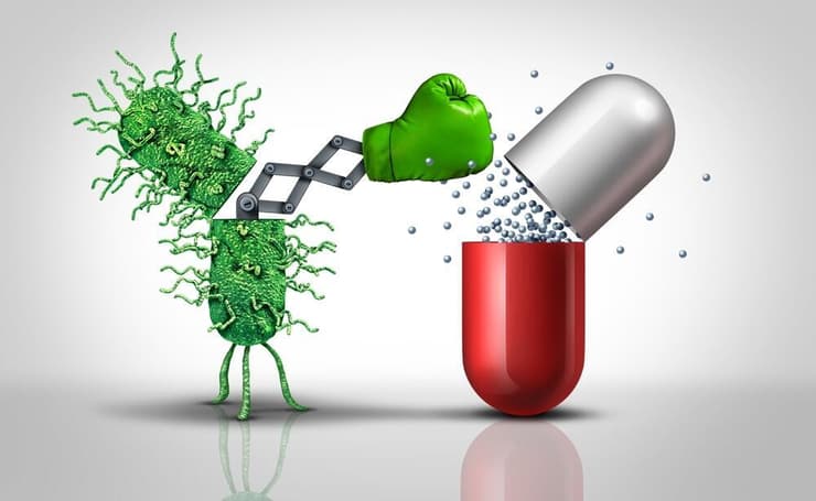 החיידקים עברו מיליארדי שנות אבולוציה ופיתחו מנגנונים טובים לעמידות לאנטיביוטיקה (צילום: shutterstock) חיידקים עמידים לאנטיביוטיקה