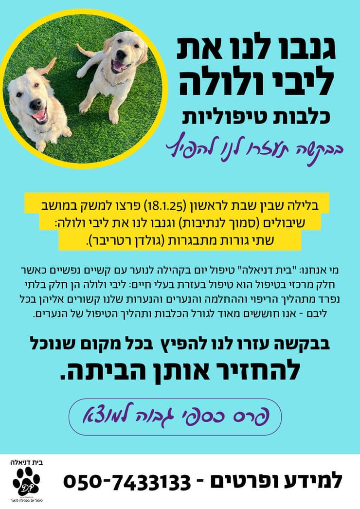 מודעה שפורסמה על אודות גניבת הכלבות