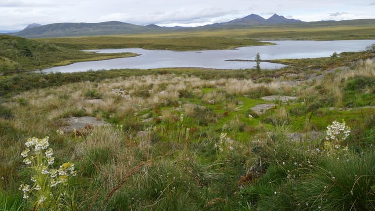 אגם שנוצר כתוצאה מהפשרת פרמפרוסט באלסקה