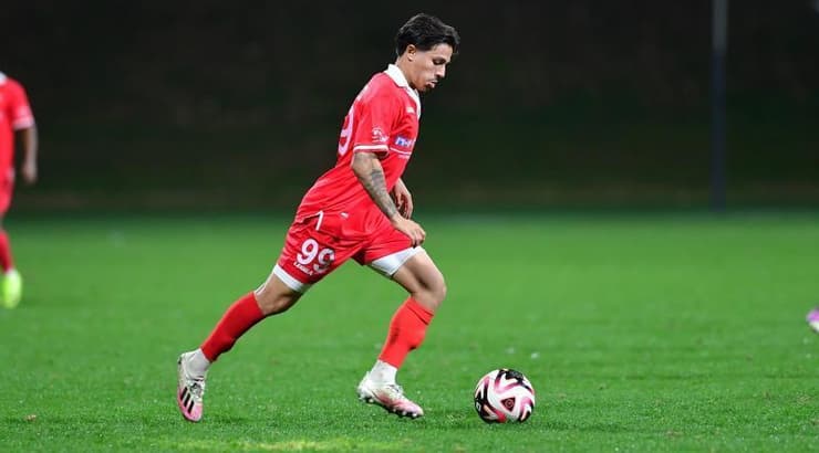 טום ברקוביץ' בפעולה