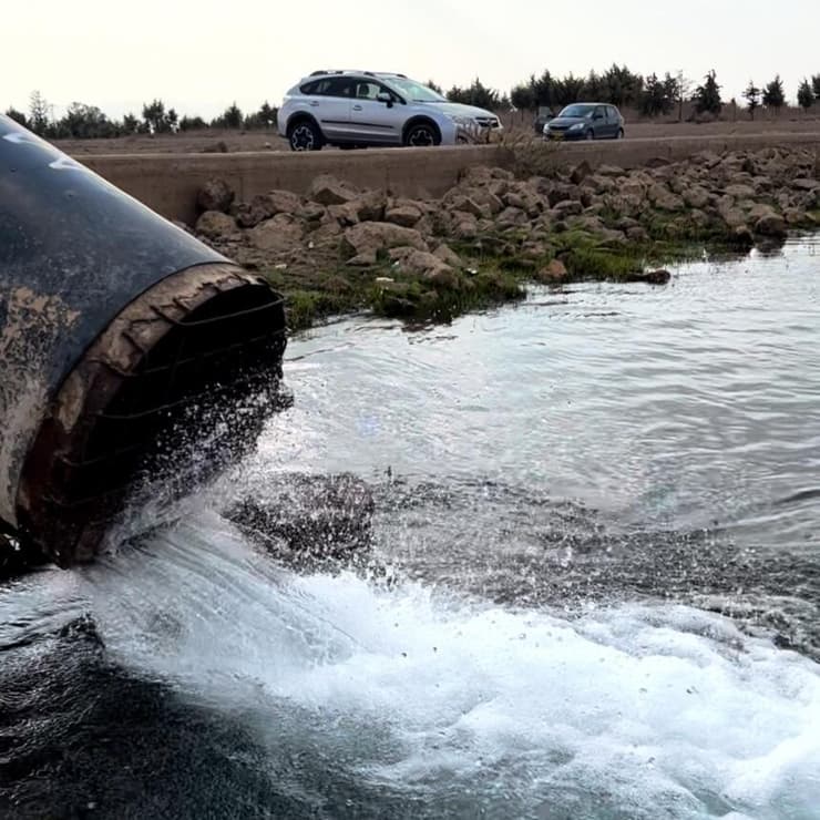 טבילה חורפית במאגר עורבים
