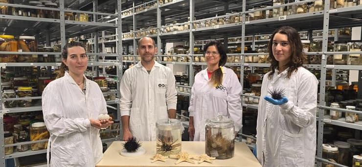 צוות המחקר בהובלת ד"ר עמרי ברונשטיין