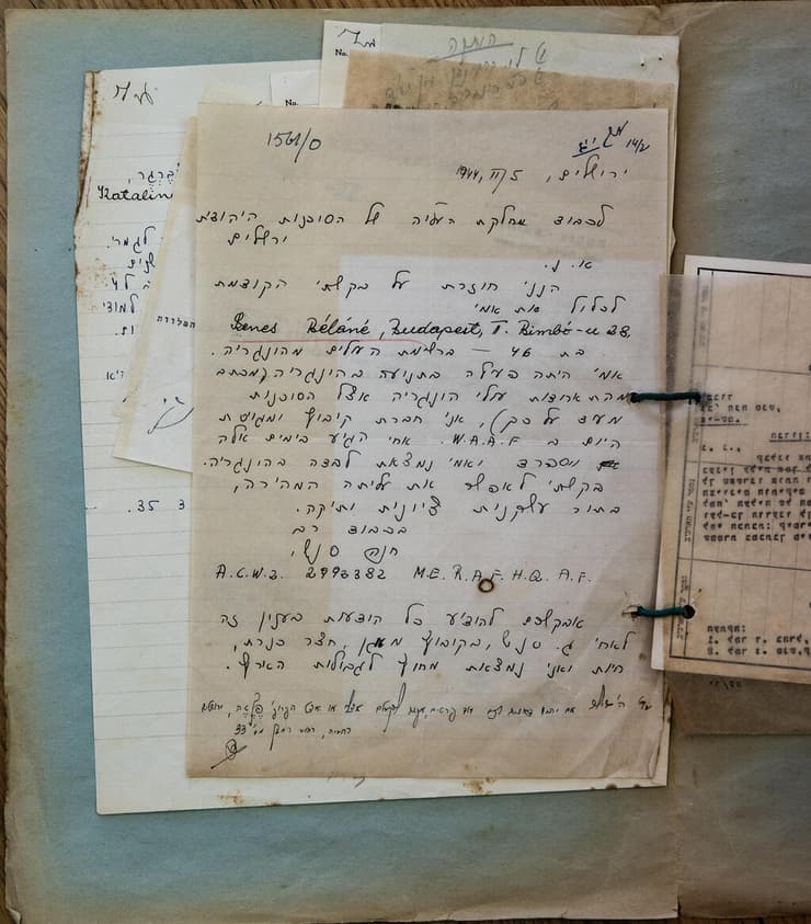 הבקשות של חנה סנש לדאוג לעלייה ארצה של אמה ואחיה