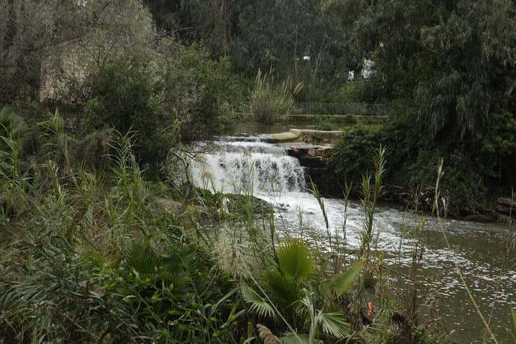 המפל באתר שבע טחנות, כפי שצולם השבוע (צילום: ריאן פרויס) המפל באתר שבע טחנות