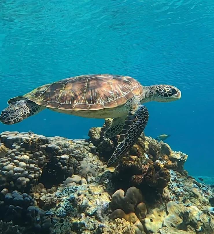 טיול באינדונזיה