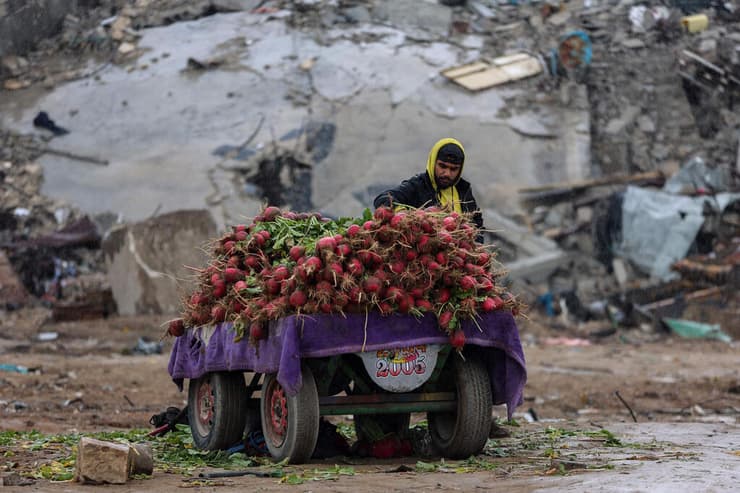 עקורים פלסטינים חוזרים לצפון רצועת עזה