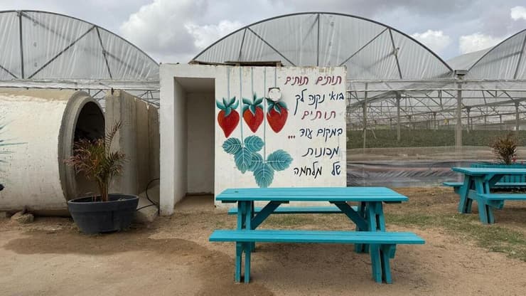 אורי תותים